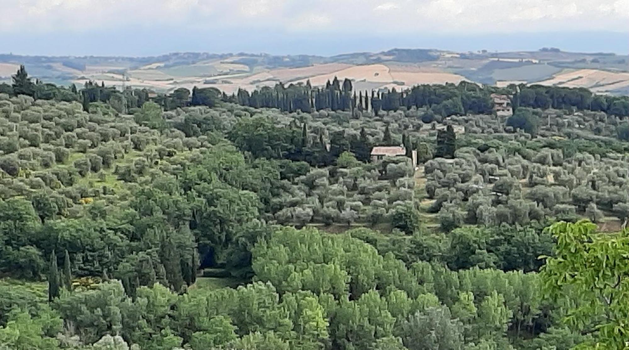 Montebello Degli Olivi Chiusi Exterior photo